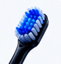 Close-up macro of dense DuPont bristles