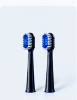 Replacement Brush Heads (2 Pack)